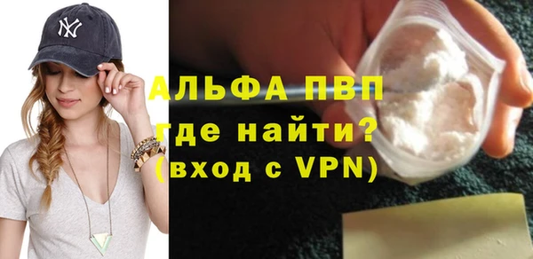 стаф Белокуриха
