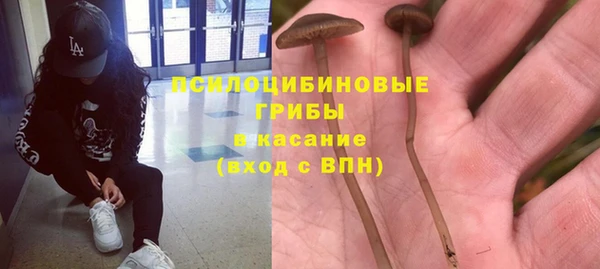 твердый Белоозёрский