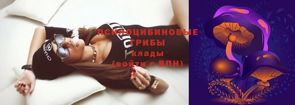 стаф Белокуриха