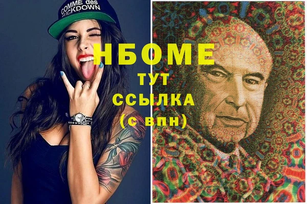 стаф Белокуриха