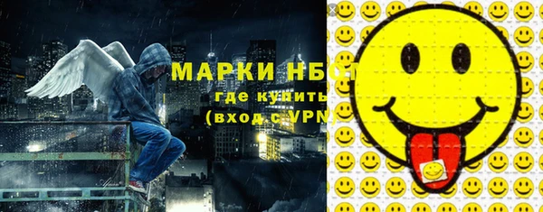 дмт Богданович