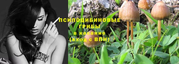 стаф Белокуриха