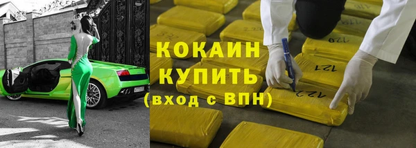 стаф Белокуриха