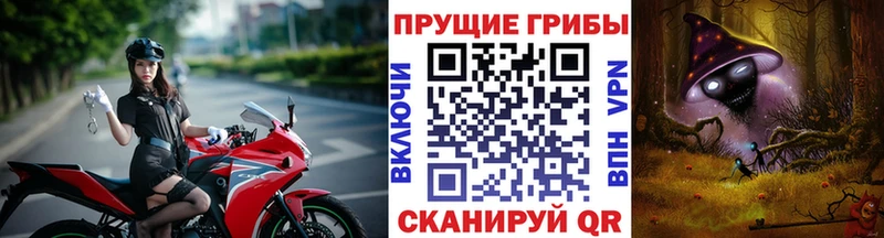Псилоцибиновые грибы GOLDEN TEACHER  Купить закладки  Чусовой 
